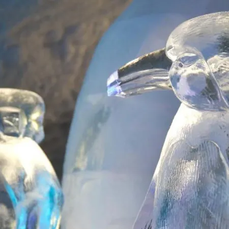 דירה Holidays - Residenz Chateau סאס פה